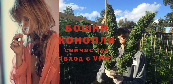 молекула духа Приозерск