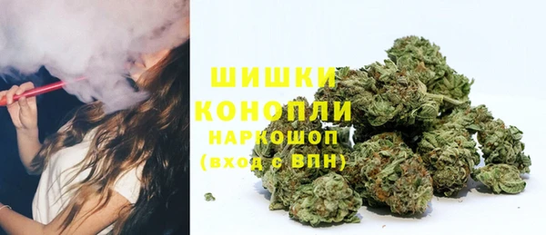молекула духа Приозерск