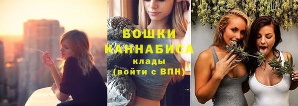 молекула духа Приозерск